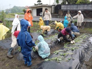 2012050602.jpg